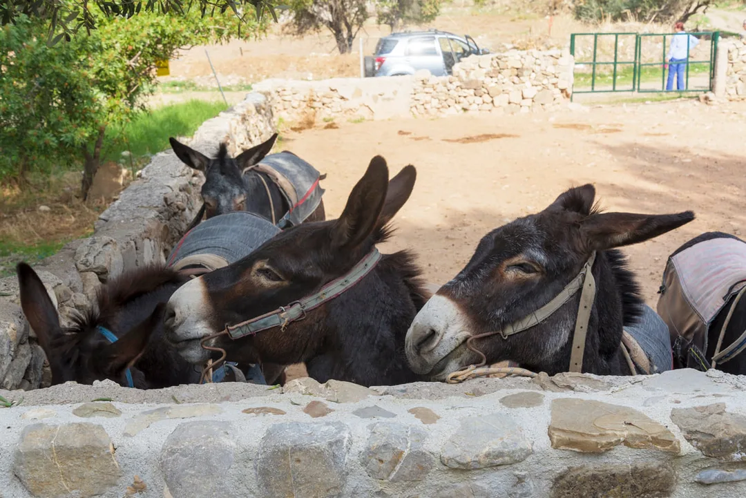 Family Friendly activities in Cyprus